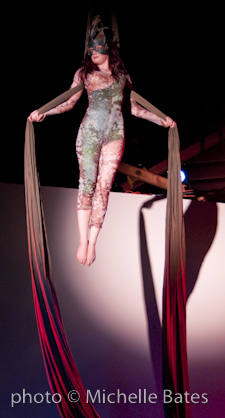 Aerialist